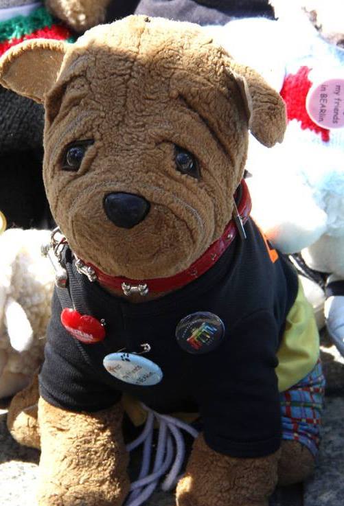 Lost stuffed toy dog named Winston